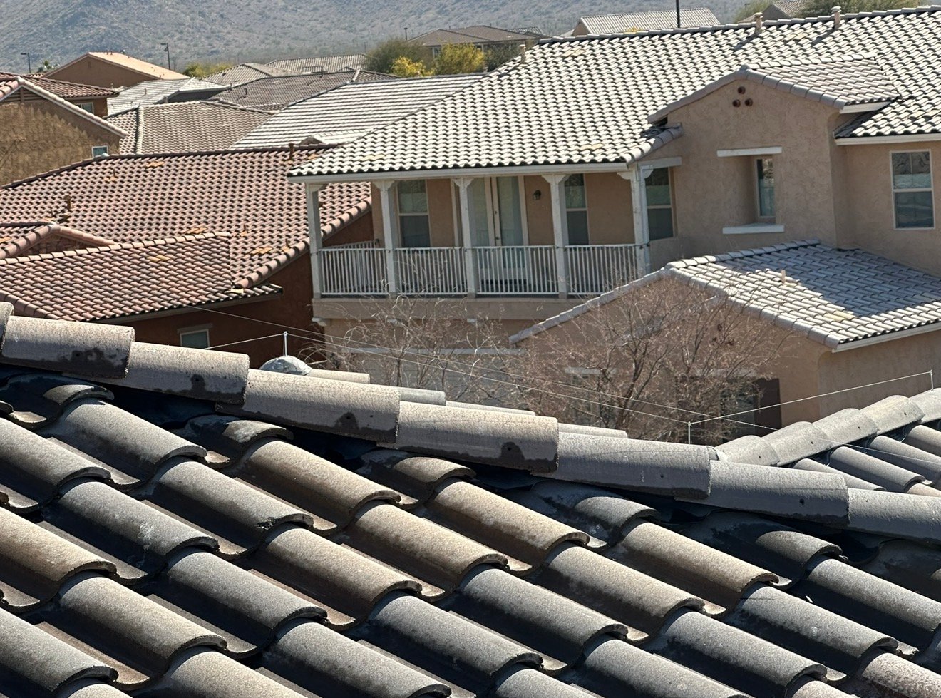 Thin wire deterrent installed along a tile roof ridge